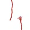 Braided polyethylene rope 4mm x 50m - Image 3